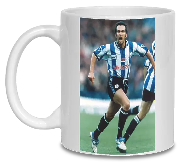 Sheffield Wednesday Paolo Di Canio