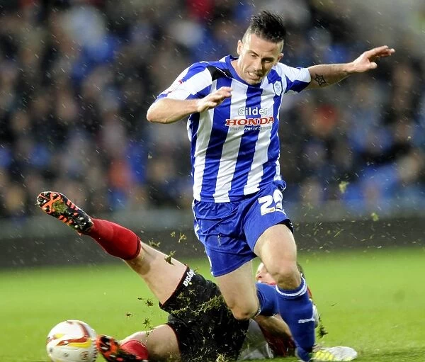 Cardiff City v Sheffield Wednesday... Back in action for the Owls David Prutton