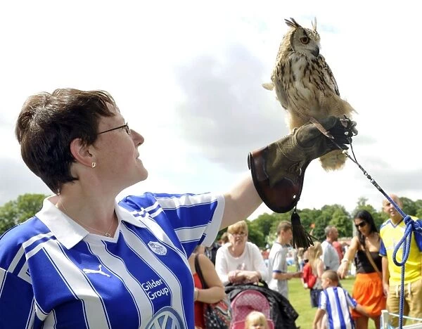 Owls in the Park 3