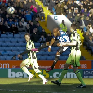 2012-13 Season Collection: SWFC vs Brighton February 2nd 2013