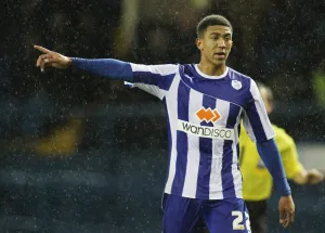 2013-14 Season Photographic Print Collection: Sheffield Wednesday vs Wigan ( abandoned) December 18th 2013