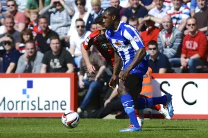 AFCB-SHFW-2013-14-096