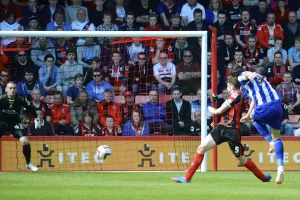 AFCB-SHFW-2013-14-106