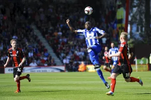 AFCB-SHFW-2013-14-128