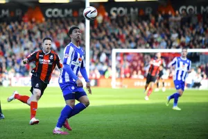 AFCB-SHFW-2013-14-264