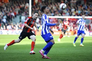 AFCB-SHFW-2013-14-265