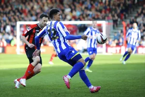 AFCB-SHFW-2013-14-266