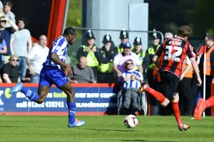 AFCB-SHFW-2013-14-283