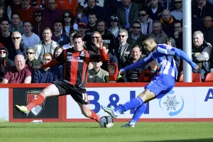 AFCB-SHFW-2013-14-287