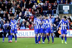 AFCB-SHFW-2013-14-291