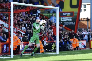 AFCB-SHFW-2013-14-314