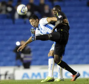 2013-14 Season Photographic Print Collection: Brighton vs SWFC October 1st 2013