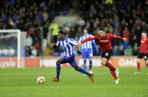 cardiff v owls 34