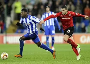 Images Dated 2nd December 2012: cardiff v owls 34a