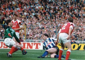 david hirst vs arsenal fa cup final 1993
