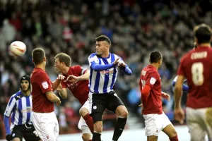 forest v owls 50
