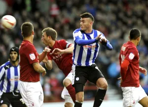 forest v owls 50