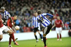 forest v owls 35