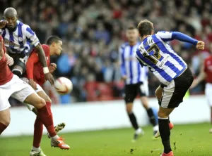 forest v owls 63
