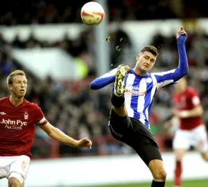 forest v owls 63