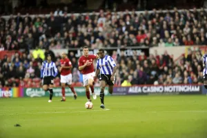 forest v owls 26