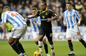 Huddersfield Town vs SWFC February 22nd 2014 Collection: Huddersfield v Owls 21
