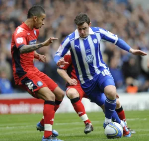 Sheff Wed 29