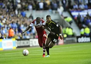 Images Dated 31st August 2013: middlesborough v owls 23