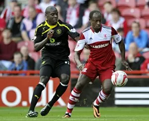 Images Dated 31st August 2013: middlesborough v owls 24