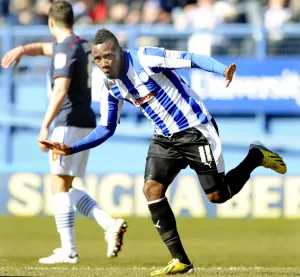 blackburn v owls 33