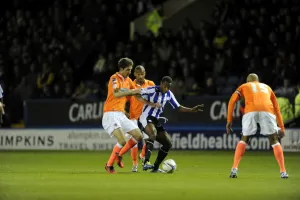 2012-13 Season Poster Print Collection: SWFC Vs Blackpool November 6th 2012