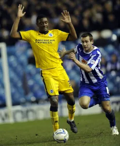 2013-14 Season Poster Print Collection: Sheffield Wednesday vs Brighton March 25th 2014