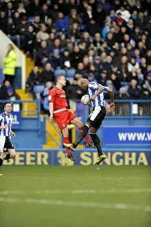 SWFC vs Cardiff City March 16th 2013 Collection: owls v cardiff 8