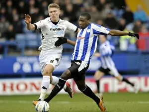 Images Dated 9th February 2013: owls v derby 5a
