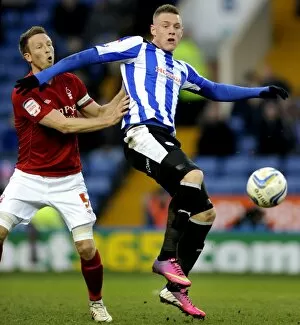 Images Dated 2nd March 2013: owls v forest 10