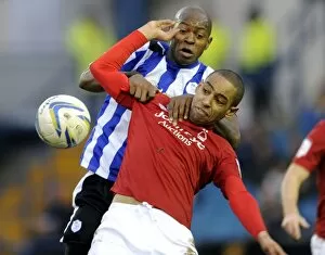 Images Dated 2nd March 2013: owls v forest 13