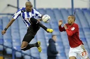 Images Dated 2nd March 2013: owls v forest 3