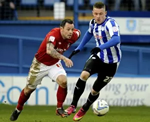 Images Dated 2nd March 2013: owls v forest 6