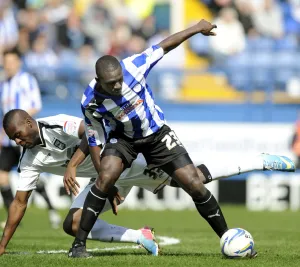 2012-13 Season Poster Print Collection: SWFC vs Ipswich Town April 20th 2013