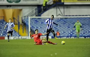 SWFC vs MK Dons January 5th 2013 Collection: owls v mk dons 21