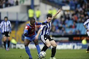 Images Dated 23rd February 2013: owls v palace 5