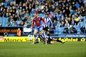 SWFC vs Crystal Palace February 23rd 2013 Collection: owls v place 13
