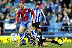 SWFC vs Crystal Palace February 23rd 2013 Collection: owls v place 13a
