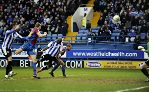 Images Dated 23rd February 2013: owls v place 19