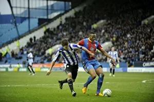 SWFC vs Crystal Palace February 23rd 2013 Collection: owls v place 20