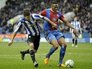 SWFC vs Crystal Palace February 23rd 2013 Collection: owls v place 20a