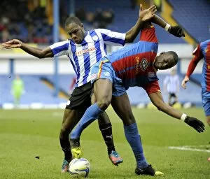 SWFC vs Crystal Palace February 23rd 2013 Collection: owls v place 21