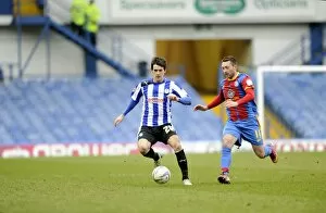 SWFC vs Crystal Palace February 23rd 2013 Collection: owls v place 22