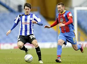 SWFC vs Crystal Palace February 23rd 2013 Collection: owls v place 22a