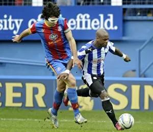 SWFC vs Crystal Palace February 23rd 2013 Collection: owls v place 23